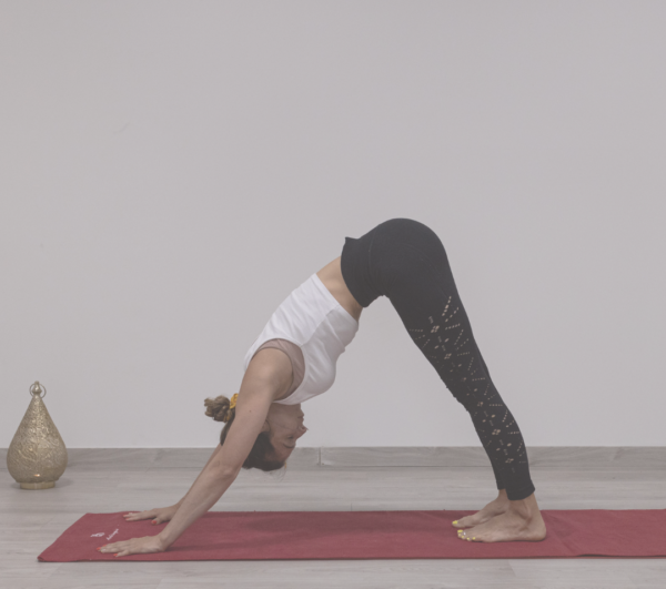 1 Clase de Yoga